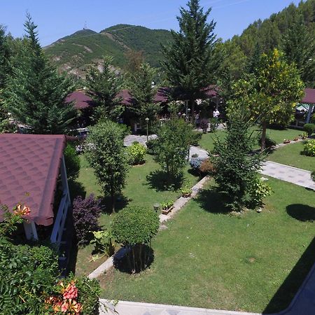 Hotel Elvis Mjull-Bethore Exterior foto